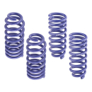 H&R Tieferlegungsfedern BMW XM (Typ F56XM / G09 - 28627-2